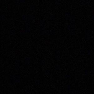 Meet your Posher, Daisy